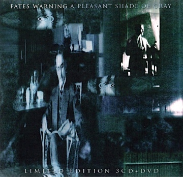 A PLESANT SHADE OF GRAY