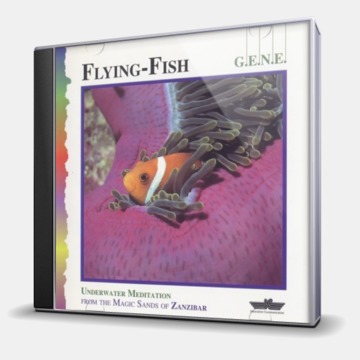 FLYINF-FISH