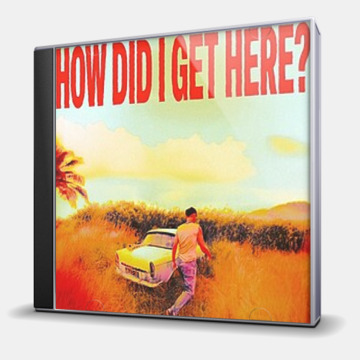 HOW DID I GET HERE? (ПРЕДЗАКАЗ)