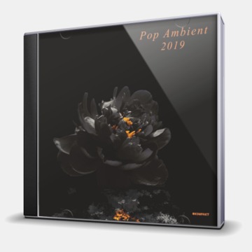 POP AMBIENT 2019