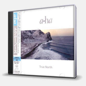 TRUE NORTH