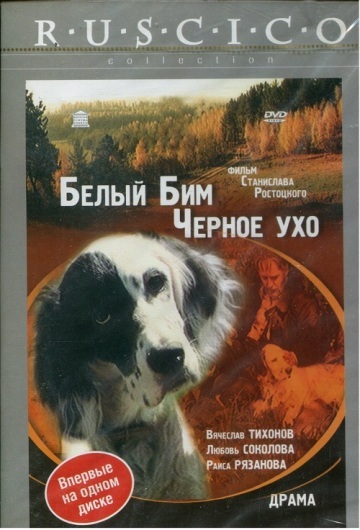 БЕЛЫЙ БИМ ЧЕРНОЕ УХО