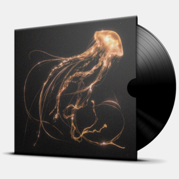 BACK TO THE WATER BELOW