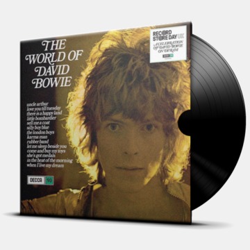 THE WORLD OF DAVID BOWIE