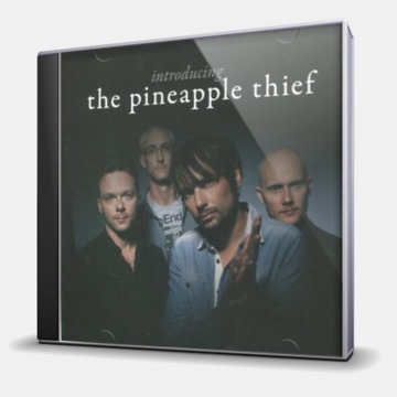 INTRODUCING THE PINEAPPLE THIEF