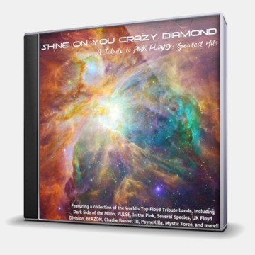 SHINE ON YOU CRAZY DIAMOND - A TRIBUTE TO PINK FLOYD'S GREATEST HITS