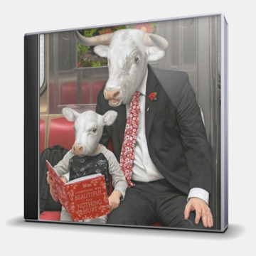 EVERYTHING WAS BEAUTIFUL, AND NOTHING HURT