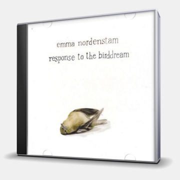 RESPONSE TO THE BIRDDREAM