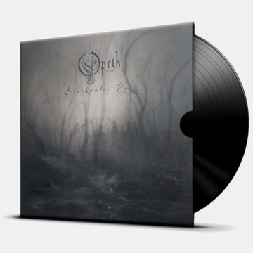 BLACKWATER PARK - 2LP
