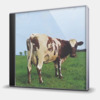 ATOM HEART MOTHER