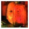 JAR OF FLIES