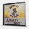 A SALTY DOG