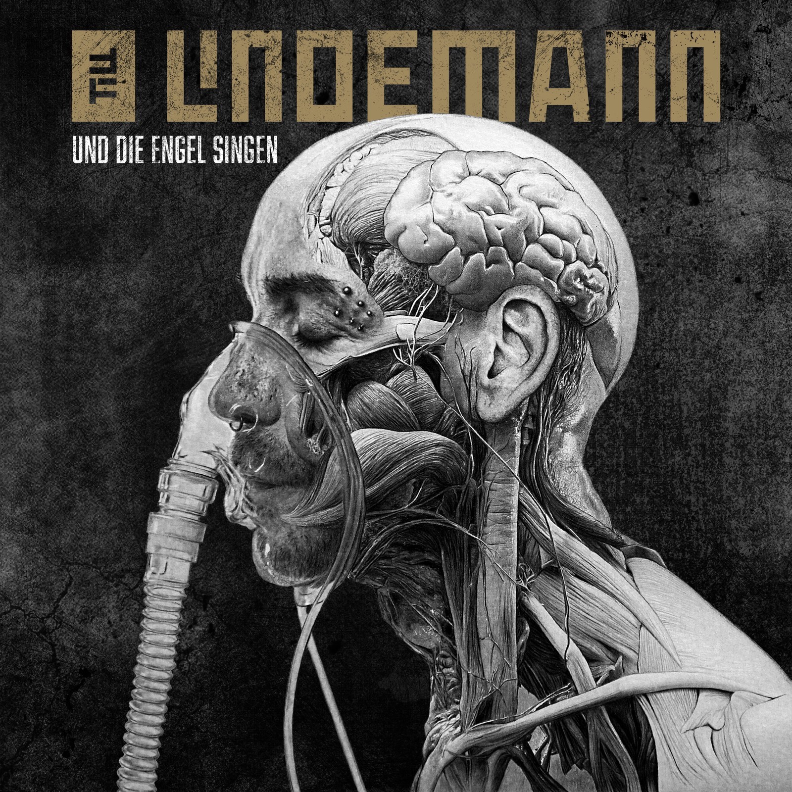 Lindemann - Und Die Engel Singen